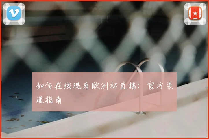 如何在线观看欧洲杯直播：官方渠道指南