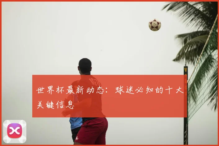 世界杯最新动态:球迷必知的十大关键信息